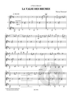 La Valse des Brumes von Thierry Tisserand 