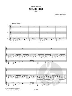 Scale 1163 von Annette Kruisbrink 