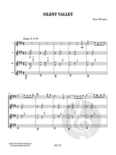 Silent Valley von Peter Wrieden 