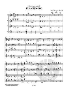 Flamen-cool von Jean-Jacques Fimbel 