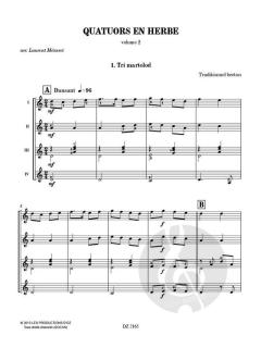 Quatuors en herbe 2 von Laurent Méneret 