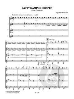 Cattywampus Rompus von Olga Amelkina-Vera 