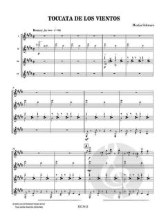 Toccata De Los Vientos von Martin Schwarz 