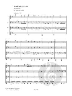 Introduction To Guitar Ensemble von Daniel de Arakal 