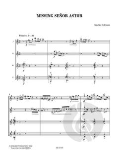 Missing Señor Astor von Martin Schwarz 