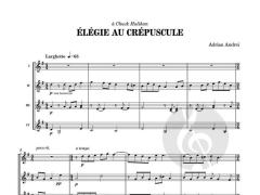 Élégie Au Crépuscule von Adrian Andrei 