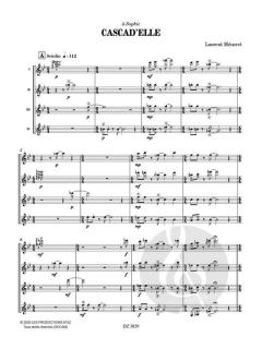 Cascad'Elle von Laurent Méneret 