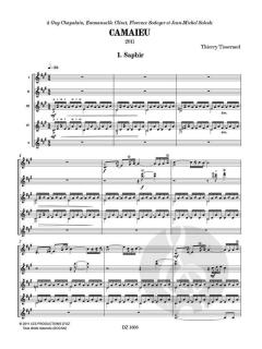 Camaieu von Thierry Tisserand 