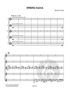 Spring Salsa von Miroslav Loncar 