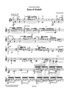Lion of Judah von Tod Dorozio 