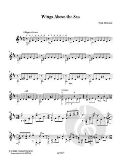 Wings Above the Sea von Nick Fletcher 