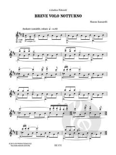 Breve volo notturno von Simone Iannarelli 