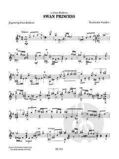 Swan Princess von Konstantin Vassiliev 