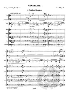 Cantilenae von Søren Hyldgaard 