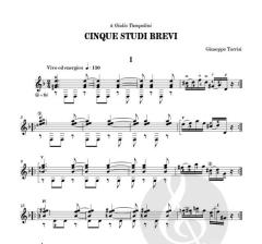 Cinque studi brevi von Giuseppe Torrisi 