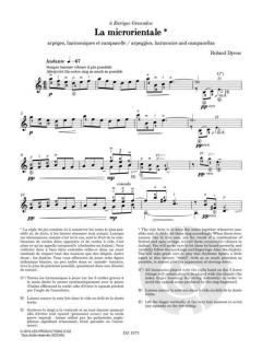 Les 100 de Roland Dyens - La microrientale 