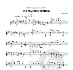 Time's Fallows, Mr Magoo's Tumble von Philip Sills 