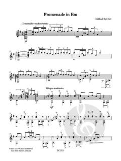 Promenade in Em von Mikhail Sytchev 