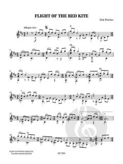 Flight of the Red Kite von Nick Fletcher 