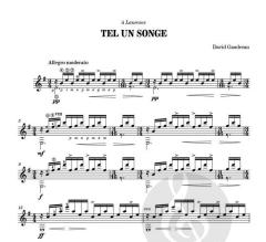 Tel Un Songe von David Gaudreau 