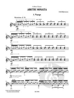 Arctic Sonata von Gulli Björnsson 