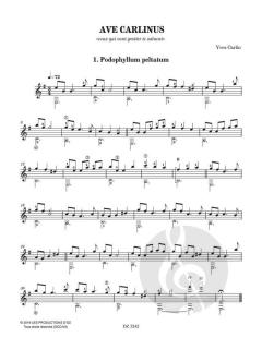 Ave Carlinus von Yves Carlin 