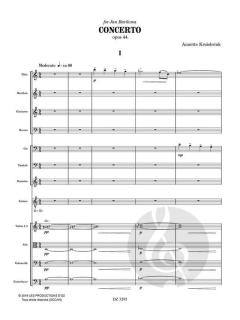 Concerto von Annette Kruisbrink 