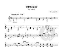 Incognito von Mikhail Sytchev 