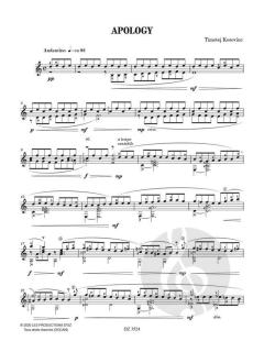 Apology von Timotej Kosovinc 