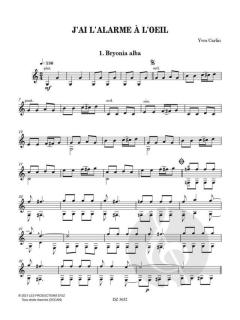 J'Ai L'Alarme À L'Oeil von Yves Carlin 