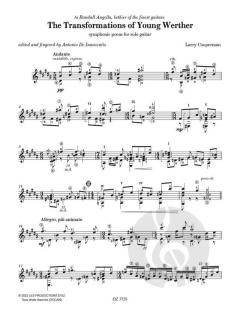 The Transformations Of Young Werther von Larry Cooperman 