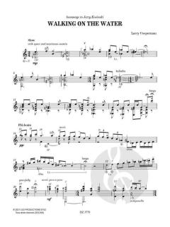 Walking On The Water von Larry Cooperman 