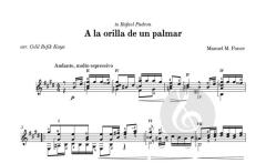 A La Orilla De Un Palmar von Manuel María Ponce 