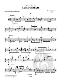 Anime gementi von Franco Cavallone 