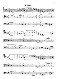 The School Of Agility von Eugene Levinson 