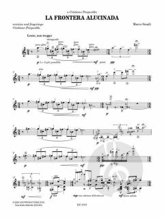 La frontera alucinada von Marco Smaili 