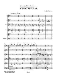 Soles y flechas von José-Luis Narvaez 