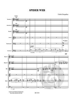 Spider Web von Cédric Despalins 