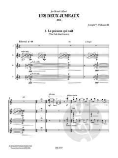 Les Deux Jumeaux von Joseph V. Williams II 