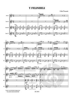 Y Felinheli von Colin Tommis 