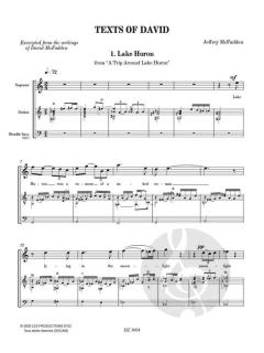 Texts Of David von Jeffrey McFadden 