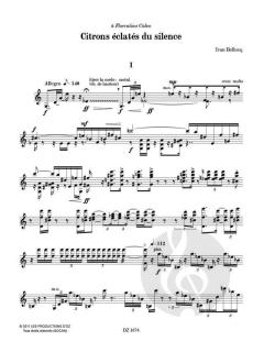 Citrons éclatés du silence von Ivan Bellocq 