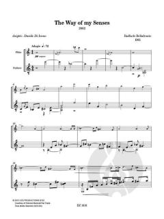 The Way of my Senses von Raffaele Bellafronte 