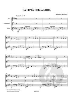 La città della Gioia von Salvatore Seminara 