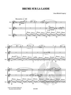 Brume Sur La Lande von Jean-Michel Coquery 