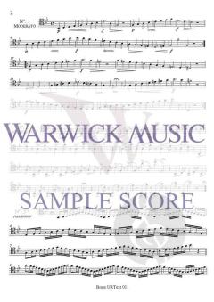 60 Etudes op. 5 von Georg Kopprasch 