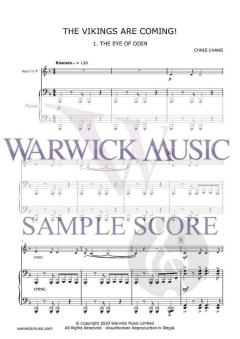 The Vikings are Coming von Chris Evans 