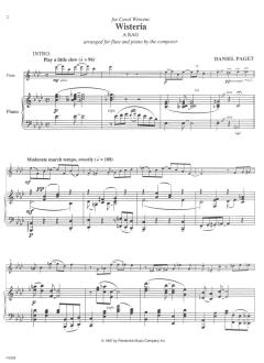 Two Sentimental Rags von Daniel Paget 