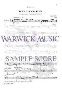 Doolallynastics von Brian Lynn 