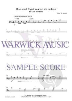 One Small Flight in a Hot Air Balloon von Pete Stones 